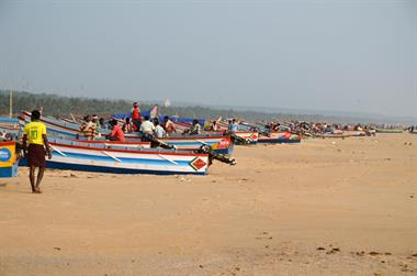 Fishing fleet, Chowara Beach,_DSC_9609_H600